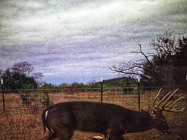 Land for sale in Lometa, Texas
