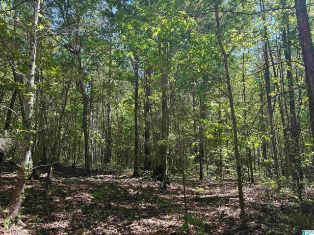 Land for sale in Wadley, Alabama