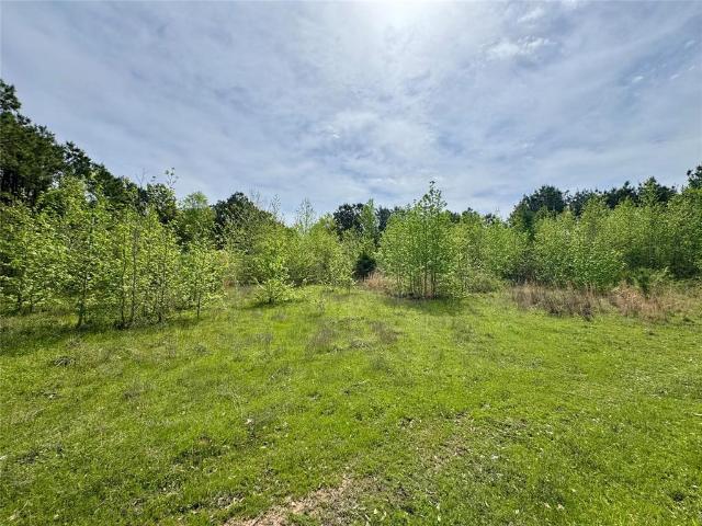 Property for sale in Naples, Texas