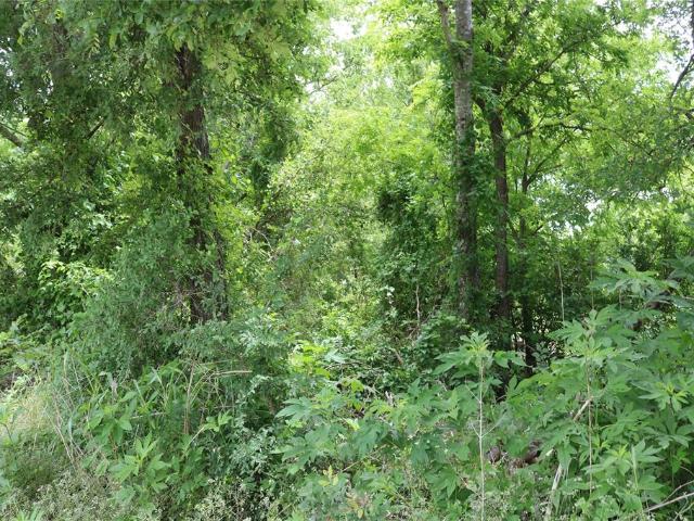 Land for sale in Dublin, Texas