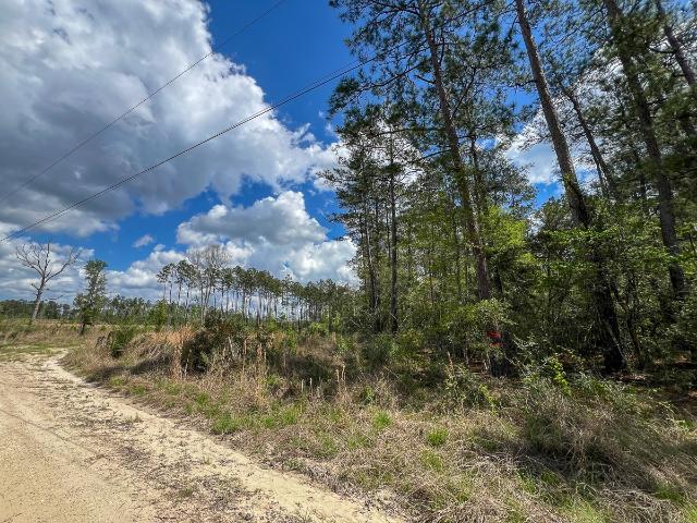 Land for sale in Colmesneil, Texas