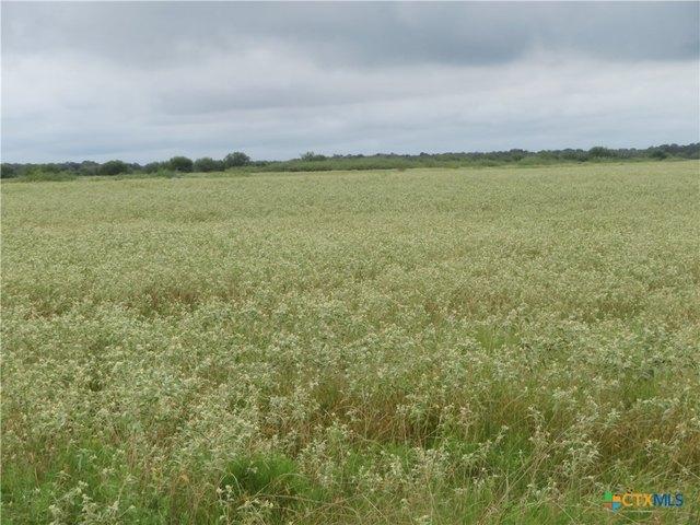 Land for sale in Edna, Texas