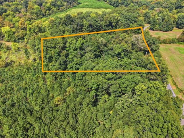 Land for sale in Calhoun, East Tennessee