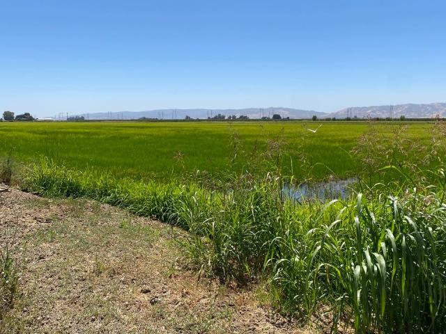 Property for sale in Yolo, California