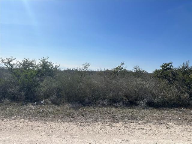 Land for sale in Orange Grove, Texas