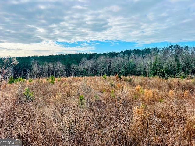 Land for sale in Dale, Alabama