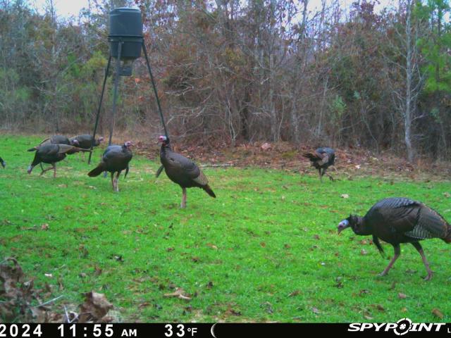 Land for sale in Ethel, Mississippi
