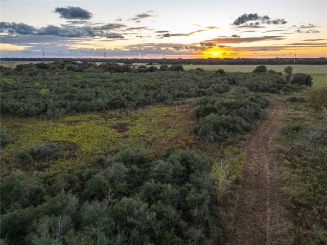 Land for sale in Wharton, Texas