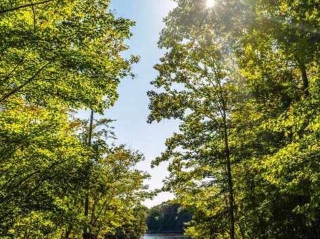 Land for sale in Wedowee, Alabama