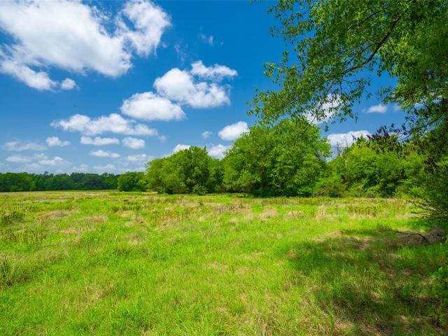 Land for sale in Morris, Texas