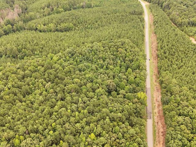 Land for sale in Coldwater, Fruithurst