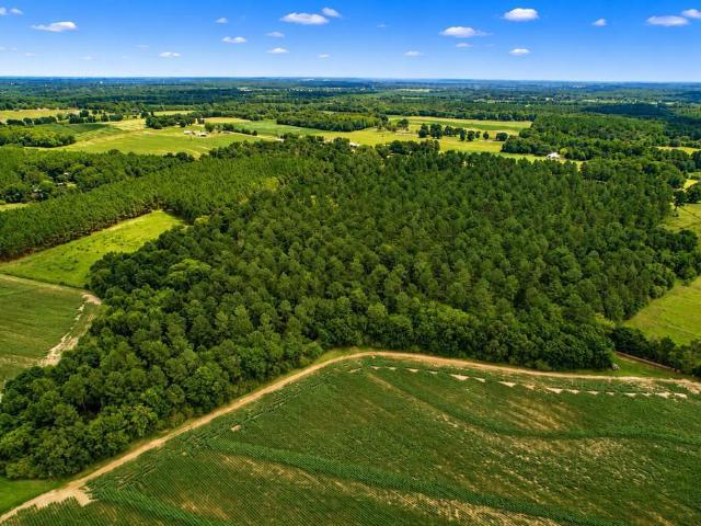 Land for sale in Ashford, Alabama