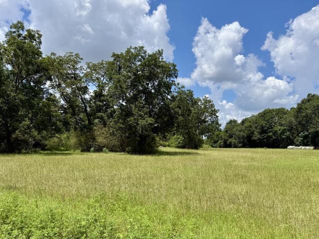 Land for sale in Ashford, Alabama