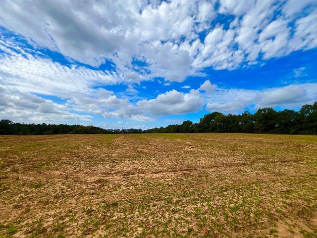 Land for sale in Headland, Alabama