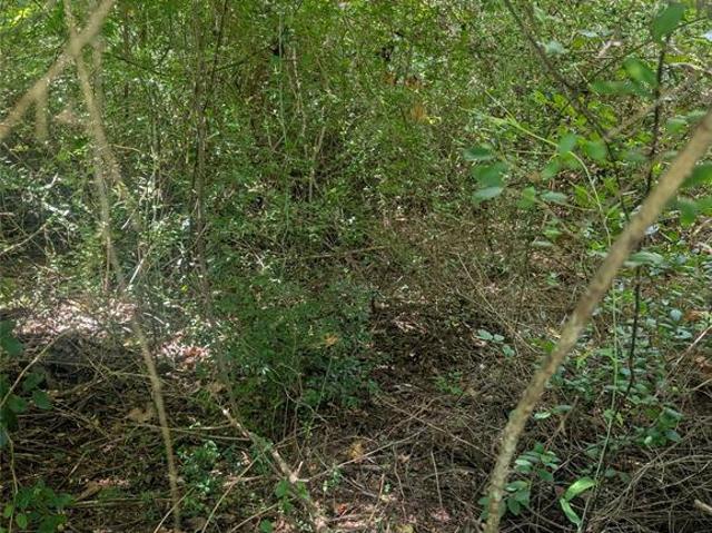 Land for sale in Wood, Texas