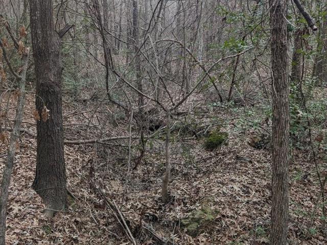 Land for sale in Wood, Texas