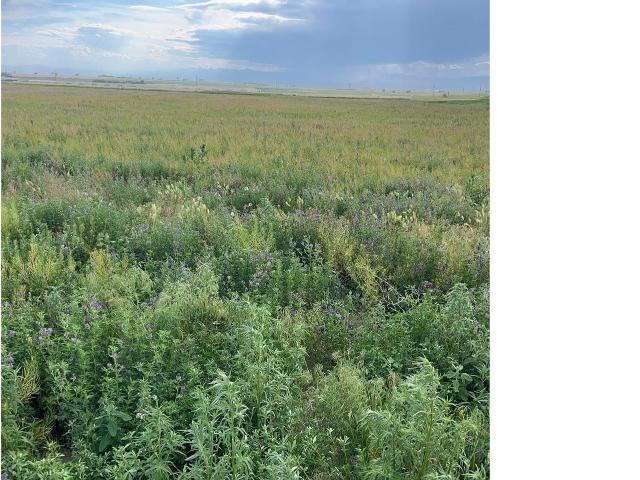 Land for sale in Platteville, Colorado