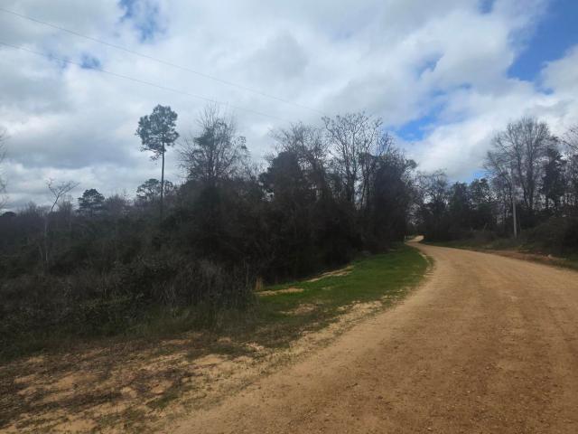 Land for sale in Maplesville, Alabama