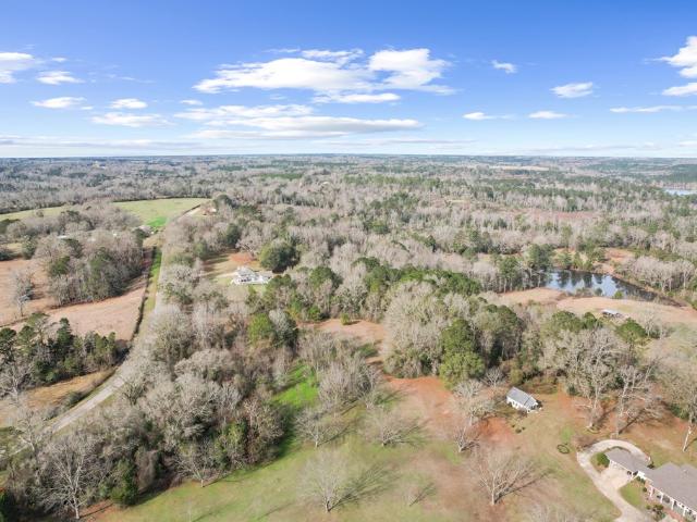 Land for sale in Elba, Alabama