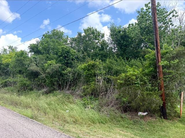 Land for sale in Brazoria, Texas