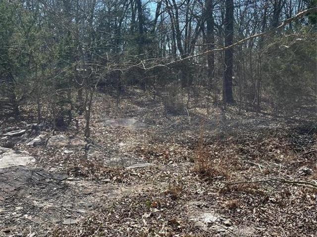 Land for sale in Hunt, Texas
