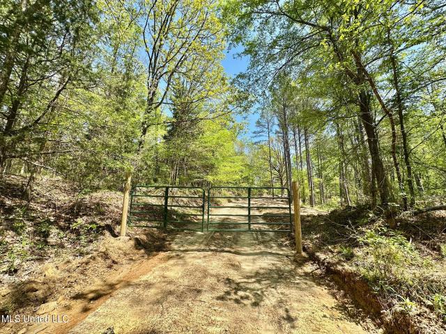 Land for sale in Carrollton, Mississippi