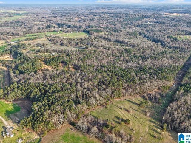 Land for sale in Clanton, Alabama