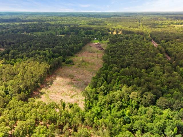 Land for sale in Bloomburg, Texas