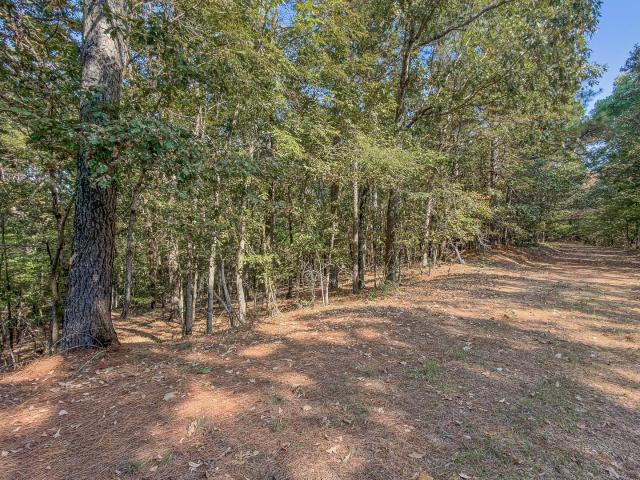 Land for sale in Knob, Lafe
