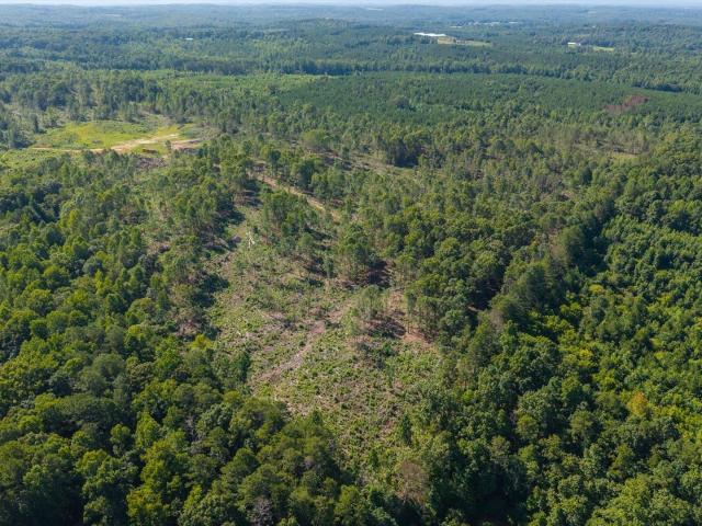 Land for sale in Heflin, Alabama