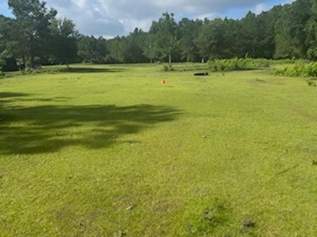 Land for sale in Newton, Texas