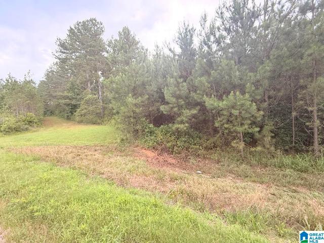 Land for sale in Fruithurst, Alabama