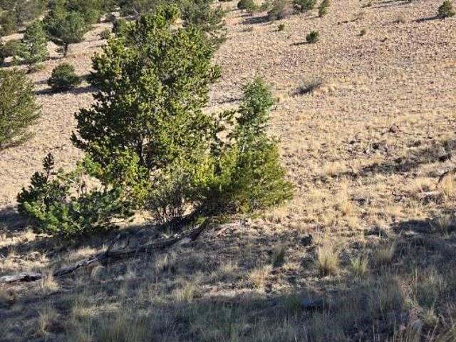 Land for sale in Center, Colorado