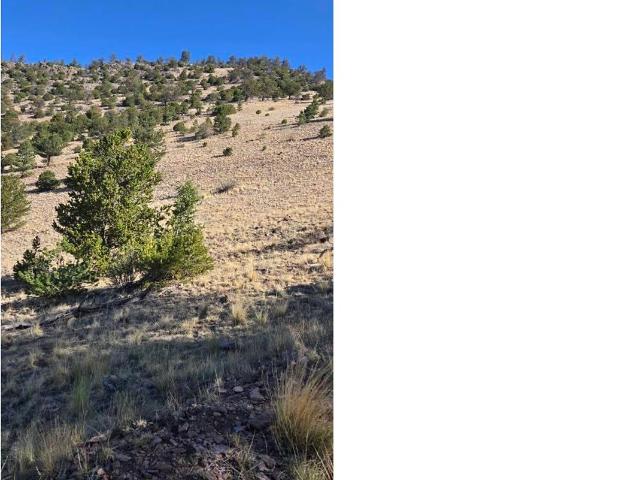Land for sale in Center, Colorado