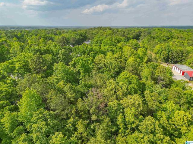 Land for sale in Jemison, Alabama