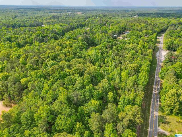Land for sale in Jemison, Alabama