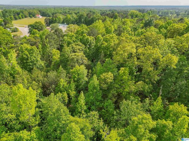 Land for sale in Jemison, Alabama