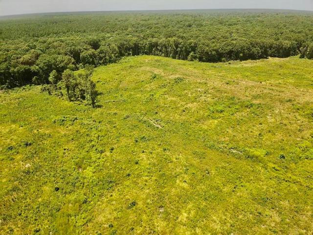 Property for sale in De Kalb, Texas