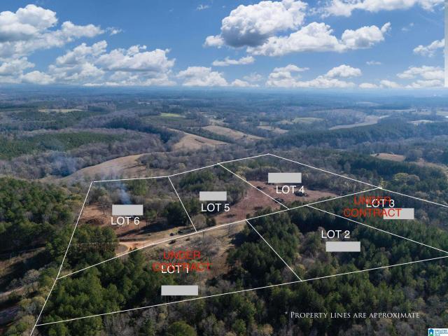 Land for sale in Woodland, Alabama