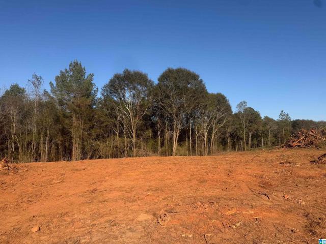 Land for sale in Woodland, Alabama