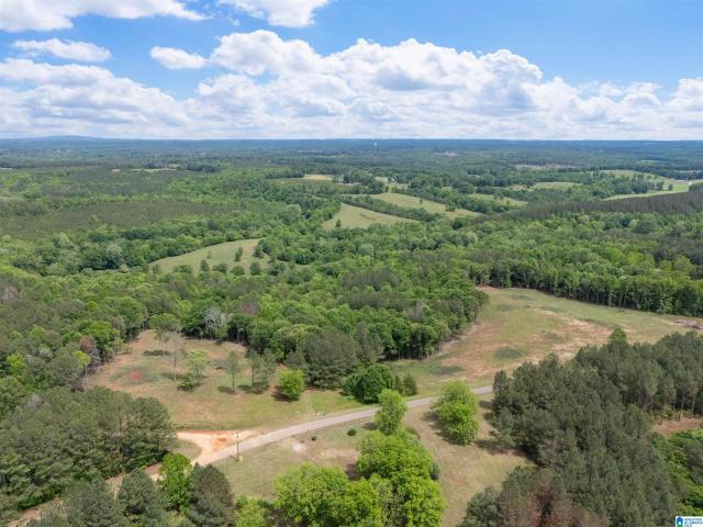 Land for sale in Woodland, Alabama