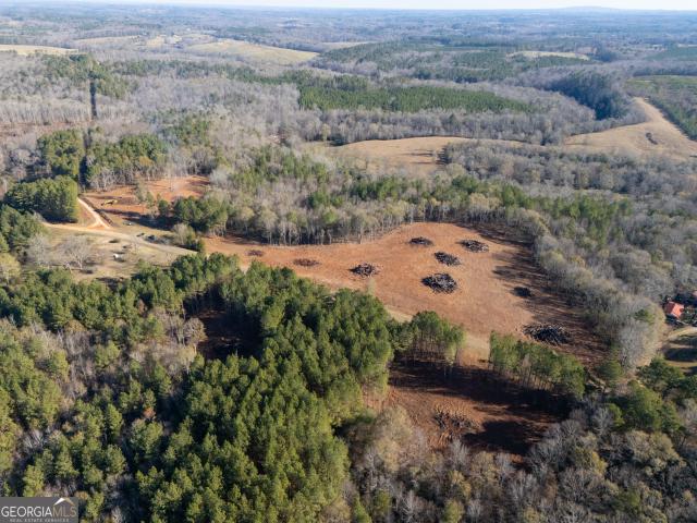 Land for sale in Woodland, Alabama