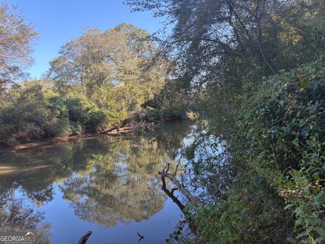 Land for sale in Woodland, Alabama