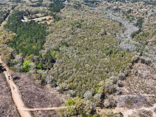 Land for sale in Dale, Alabama