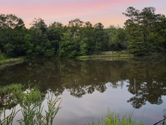 Land for sale in Elba, Alabama