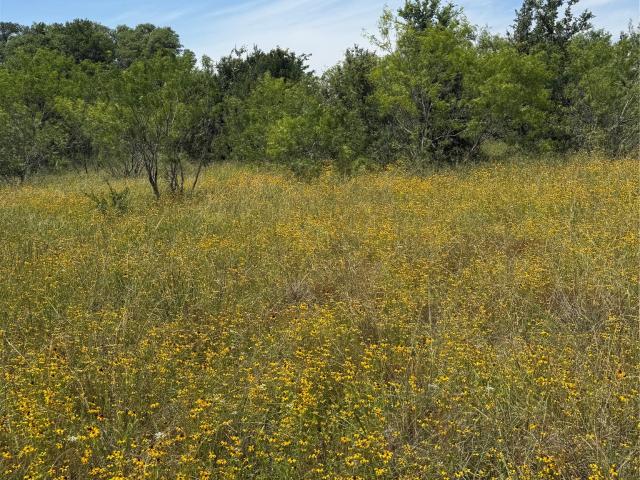 Land for sale in Snook, Texas