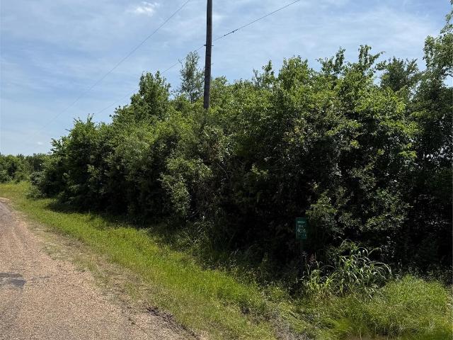 Land for sale in Snook, Burleson County