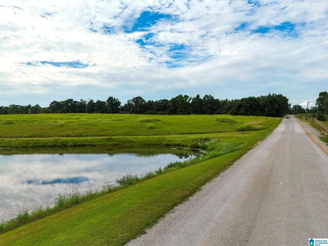 Land for sale in Jemison, Chilton County
