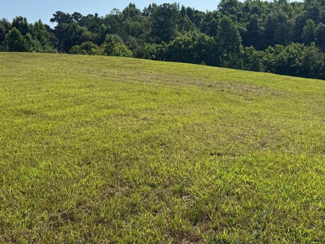 Land for sale in Fruithurst, Alabama