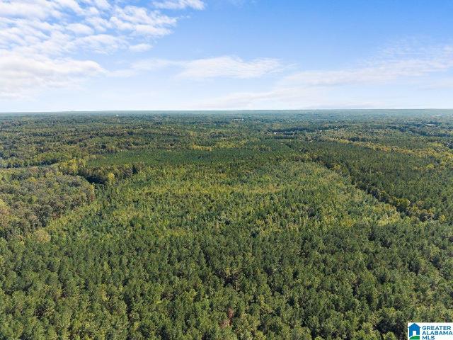 Land for sale in Clanton, Chilton County